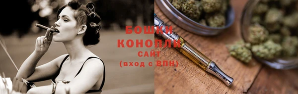 PSILOCYBIN Вяземский