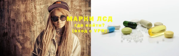 PSILOCYBIN Вяземский