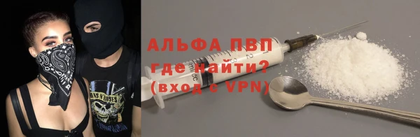 PSILOCYBIN Вяземский