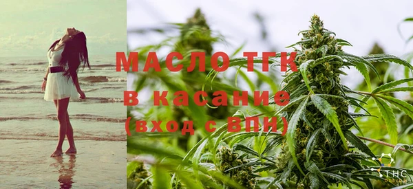 PSILOCYBIN Вяземский