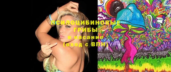 PSILOCYBIN Вязьма