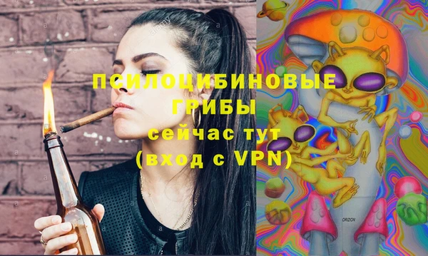 PSILOCYBIN Вяземский