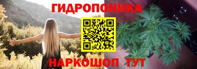эйфоретик Гусиноозёрск