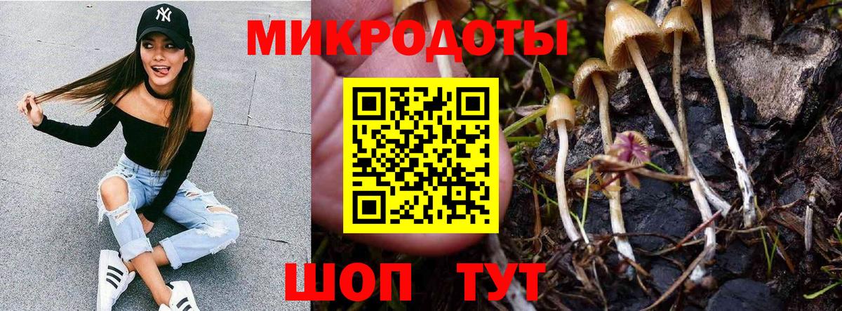 Галлюциногенные грибы MAGIC MUSHROOMS Гатчина